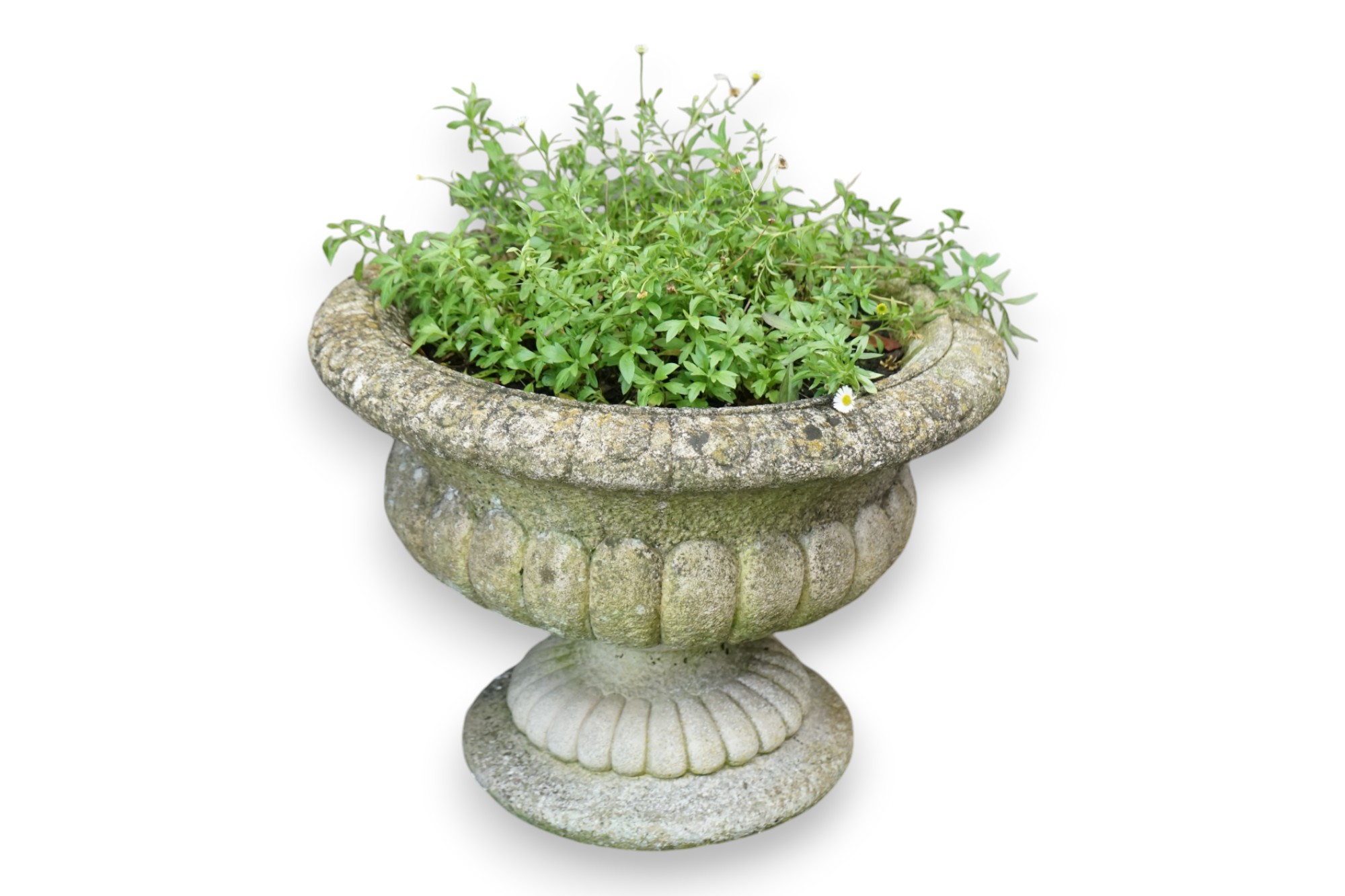 A pair of reconstituted stone circular garden urns